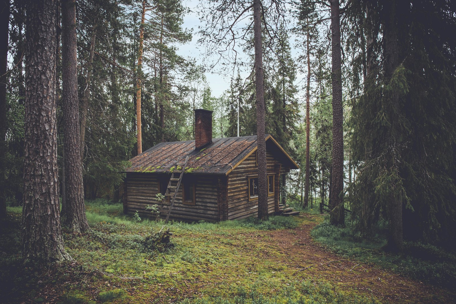 Chalet en bois type lodge